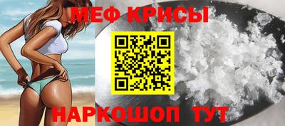гашик Кингисепп