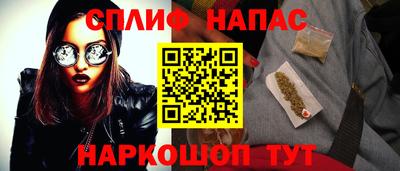 гашик Кингисепп