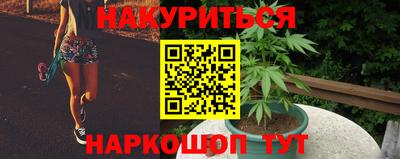 гашик Кингисепп