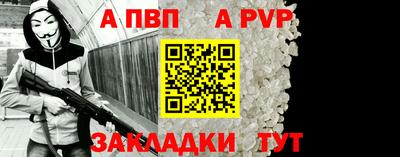 гашик Кингисепп