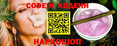 гашик Кингисепп