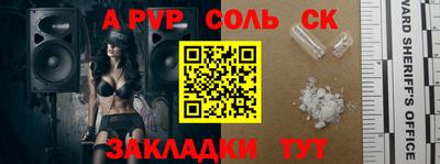 гашик Кингисепп