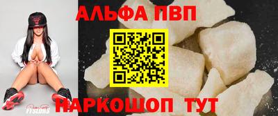 гашик Кингисепп