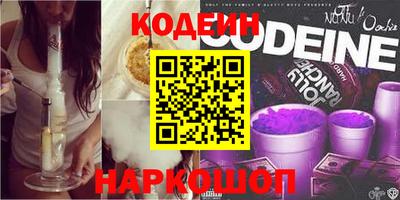 гашик Кингисепп