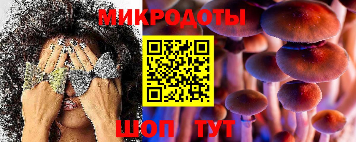 Галлюциногенные грибы MAGIC MUSHROOMS  Псилоцибиновые грибы Psilocybe  Вход с VPN  наркота  Тимашёвск 