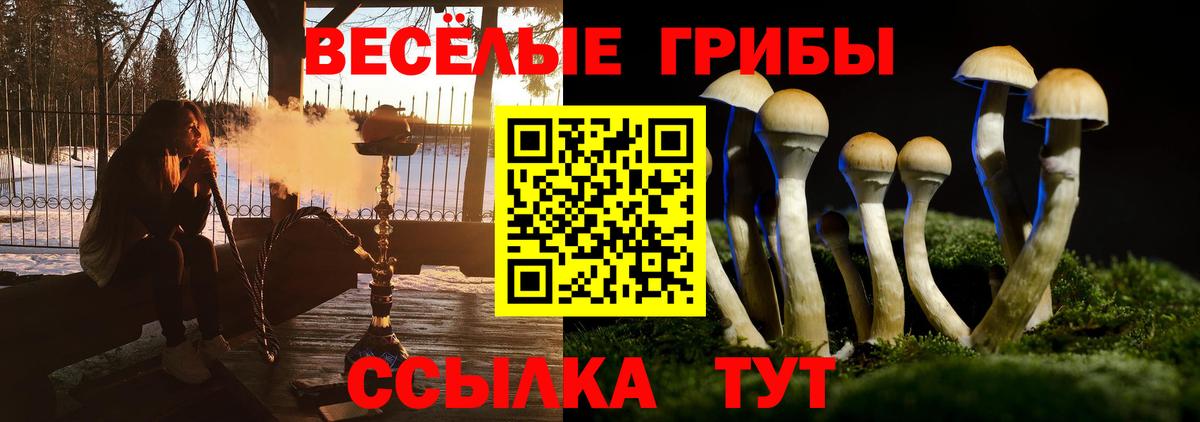 Марихуана Тимашёвск